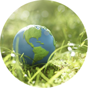 شركة جيانغسو واندا الخاصة للمحامل المحدودة,