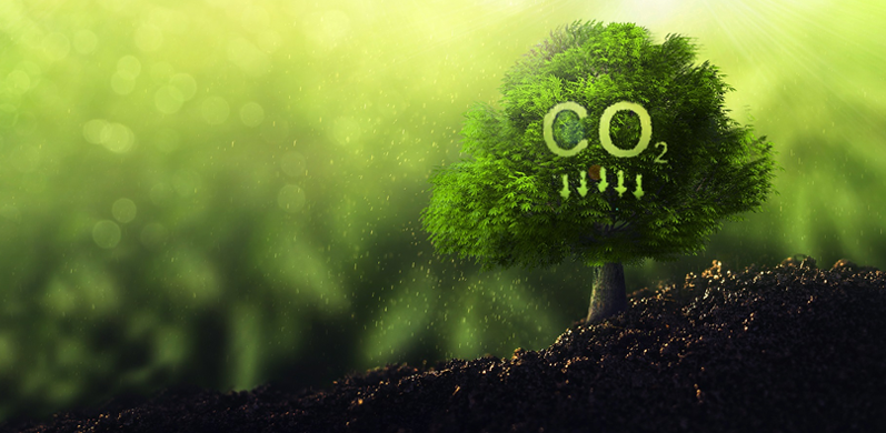 شركة جيانغسو واندا الخاصة للمحامل المحدودة,