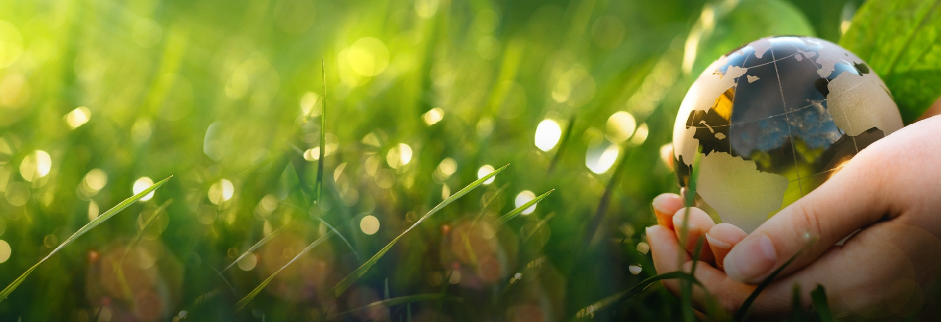 شركة جيانغسو واندا الخاصة للمحامل المحدودة,